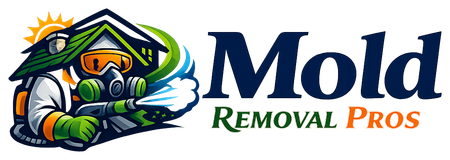 Mold Removal Pros